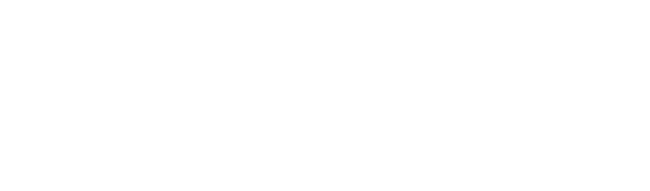 Ethiopian Securities Exchange logo